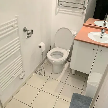 Appartement Supreme Studio Disneyland Roissy Cdg Paris Est